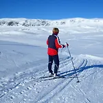 Thon Hallingdal
