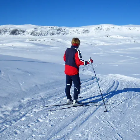 Thon Hallingdal